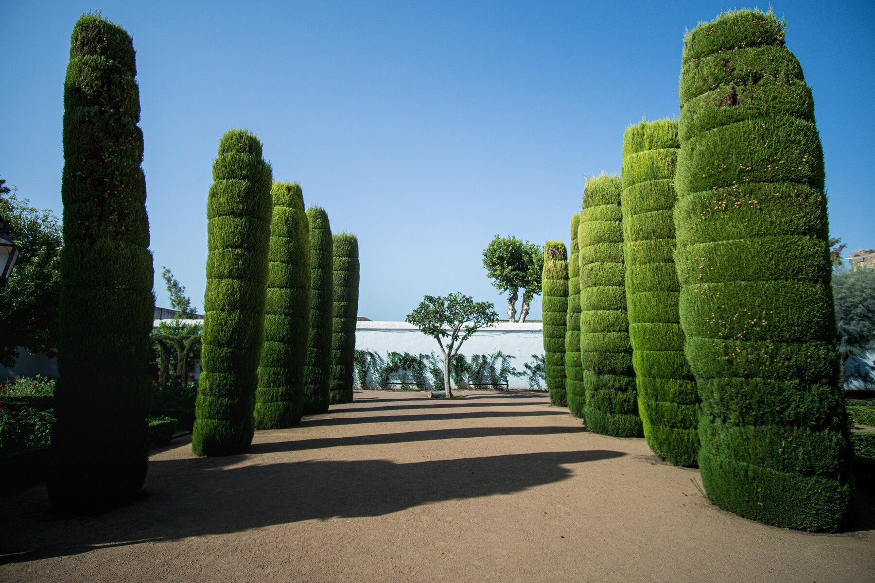 Professionelle Gartenpflege in Wiesbaden